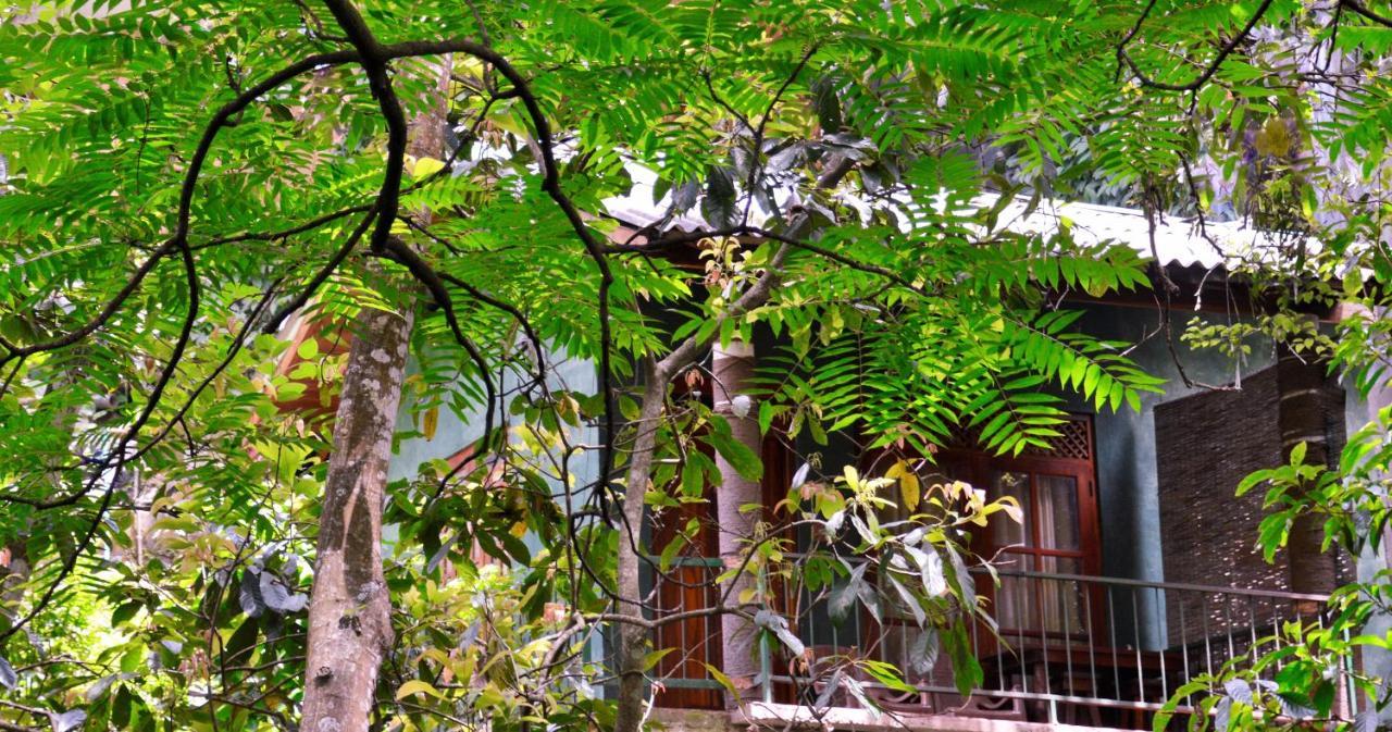 Ella Green Cottages Exterior photo
