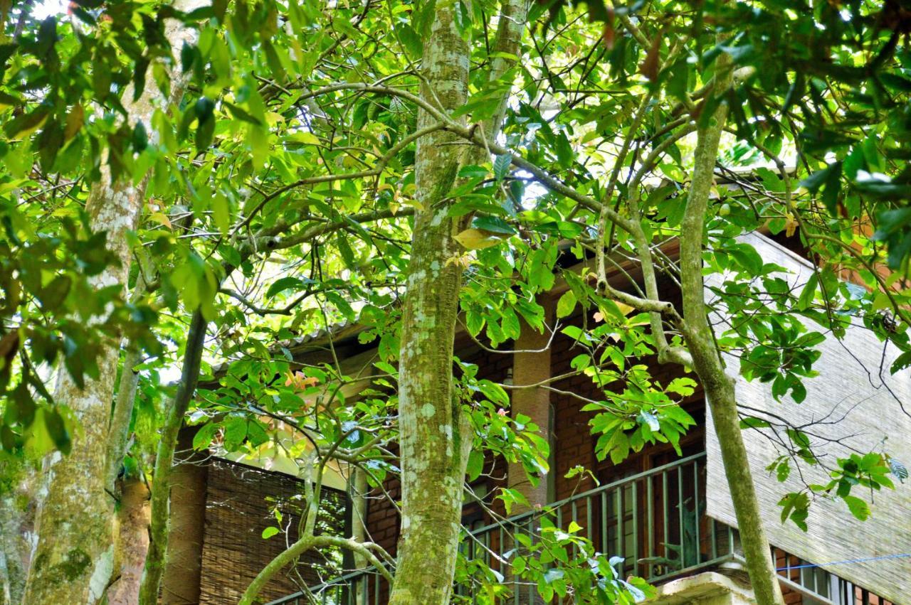 Ella Green Cottages Exterior photo