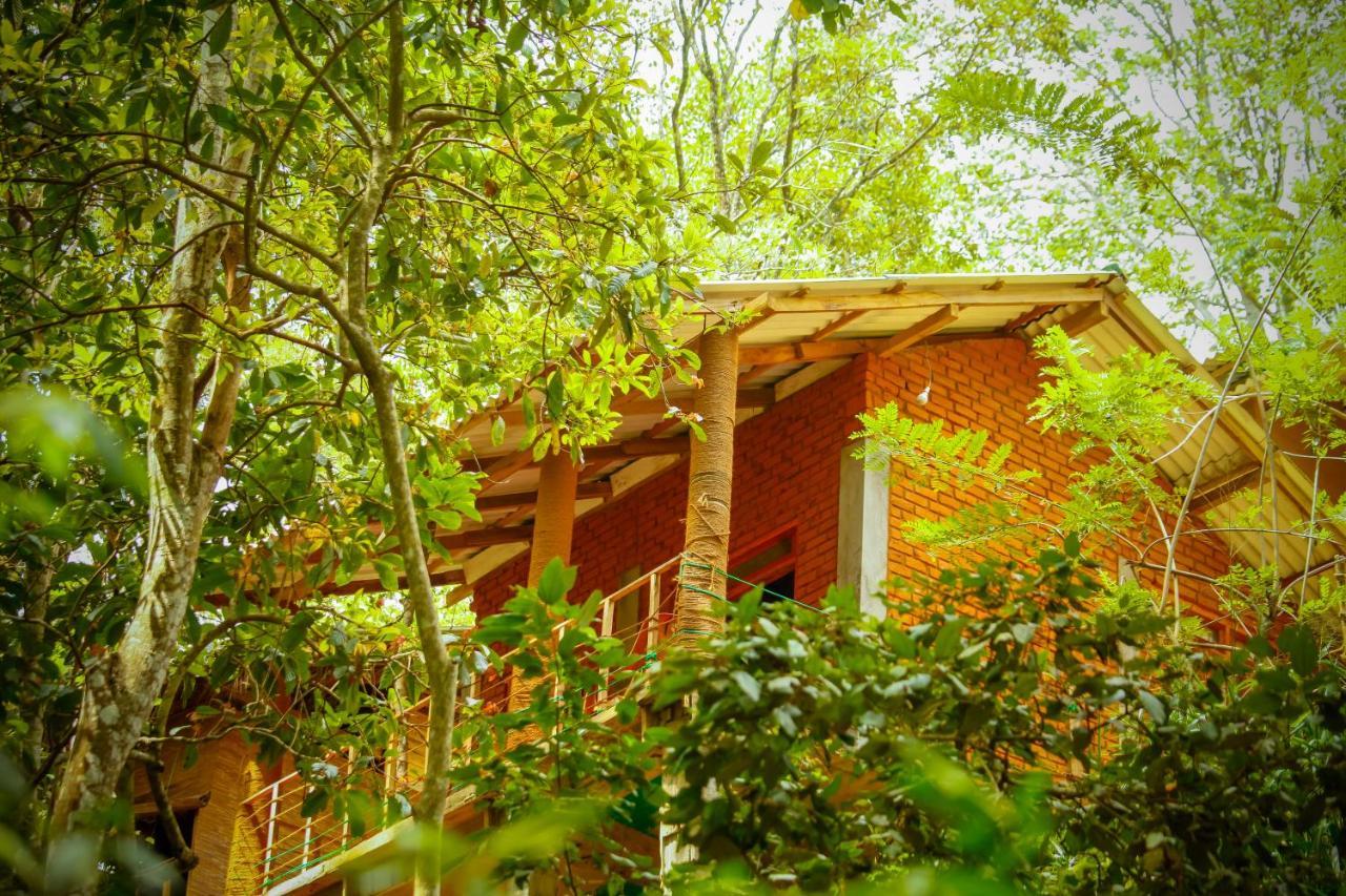 Ella Green Cottages Exterior photo